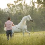 A man is walking a white horse in a field.