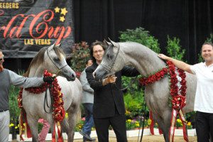 Three men standing next to a group of horses at a show.
