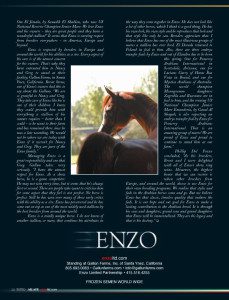 An advertisement for enzo, with a picture of a horse.