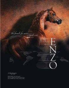 The cover of the enzo magazine.