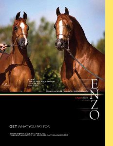 Enzo magazine - get what you pay.