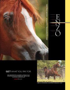 Enzo magazine cover - get what you pay for.