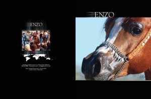 The cover of the enzo magazine has a picture of a horse.