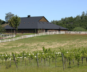 A vineyard with a white fence and a black barn.