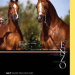 Enzo magazine - get what you pay.