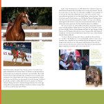 A spread of a magazine with pictures of a horse.