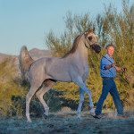 A man is walking a horse in the desert.