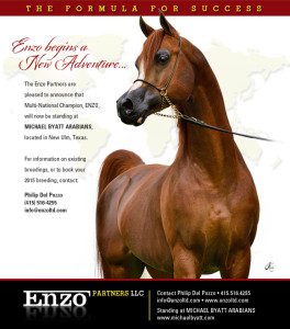 A flyer for the enzo company with a horse in the background.
