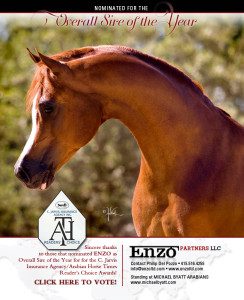 A photo of a horse in a magazine ad.