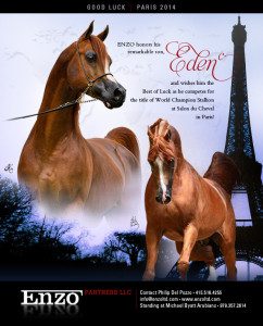 A poster with two horses in front of the eiffel tower.