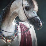 A white horse with a lot of jewelry on it.